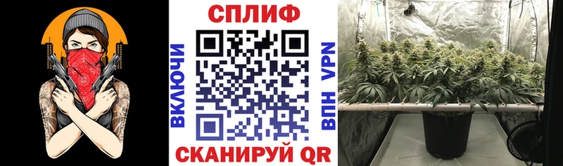 Все наркотики Устюжна COCAIN  АМФ  APVP  Псилоцибиновые грибы  Меф  Бошки Шишки  Гашиш 