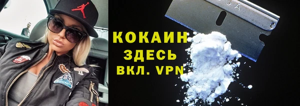 стаф Алзамай