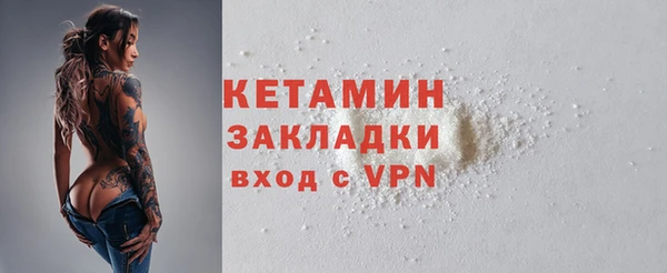 стаф Алзамай