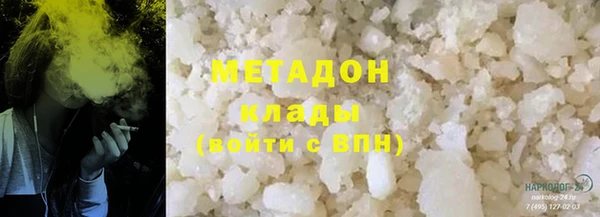 стаф Алзамай