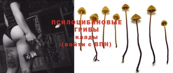 первитин Алексин
