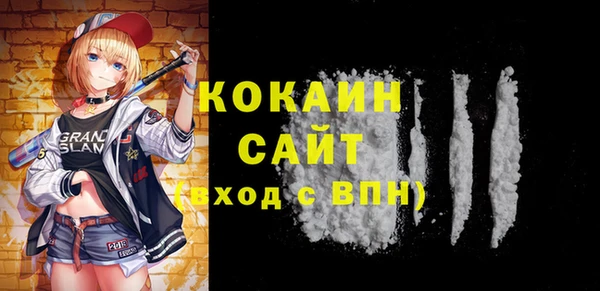 стаф Алзамай