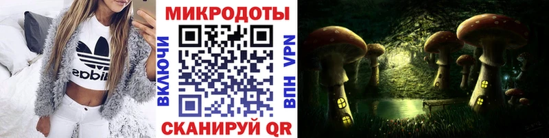 Псилоцибиновые грибы прущие грибы  закладка  Устюжна 